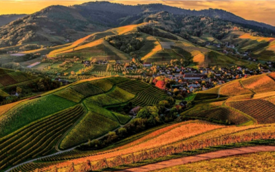 Echipa GAL SIRET-MOLDOVA va ajunge în COMUNELE VALEA SEACĂ, VÂNĂTORI și LESPEZI