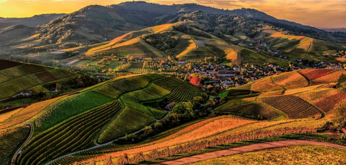 Echipa GAL SIRET-MOLDOVA ajunge în COMUNELE VALEA SEACĂ, VÂNĂTORI și LESPEZI